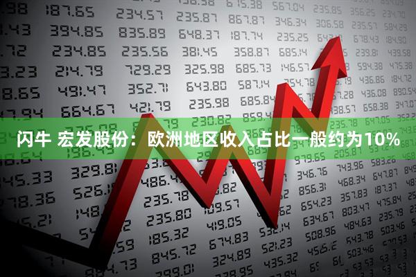 闪牛 宏发股份：欧洲地区收入占比一般约为10%
