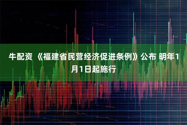 牛配资 《福建省民营经济促进条例》公布 明年1月1日起施行
