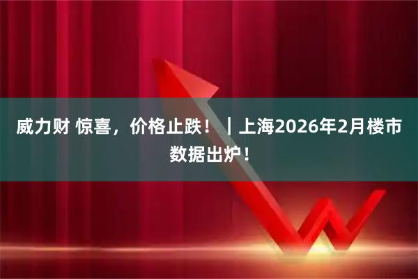 威力财 惊喜，价格止跌！｜上海2026年2月楼市数据出炉！