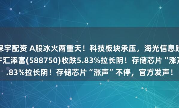 保宇配资 A股冰火两重天!科技板块承压,海光信息跌近7%,科创芯片ETF汇添富(588750)收跌5.83%拉长阴!存储芯片“涨声”不停,官方发声!