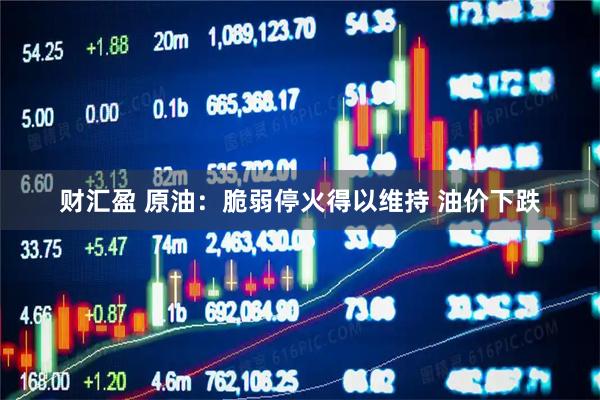 财汇盈 原油：脆弱停火得以维持 油价下跌